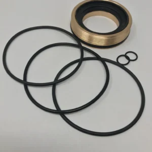Set of black rubber O-rings of various sizes laid out on a light surface next to a gold-colored threaded mechanical seal with a black inner lip (mechanical seal and seals kit)