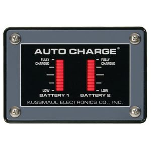 Dual Bar Graph Display