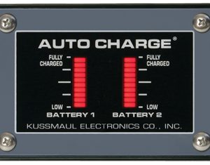 AUTO CHARGE, DUAL BAR GRAPH DISPLAY