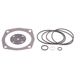 QG/P35 R.V.GSKT & O-RINGS KIT