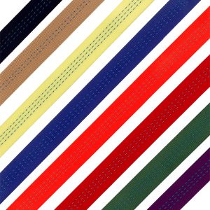 1" Tubular Webbing x 12 ft. (Hot Yellow)