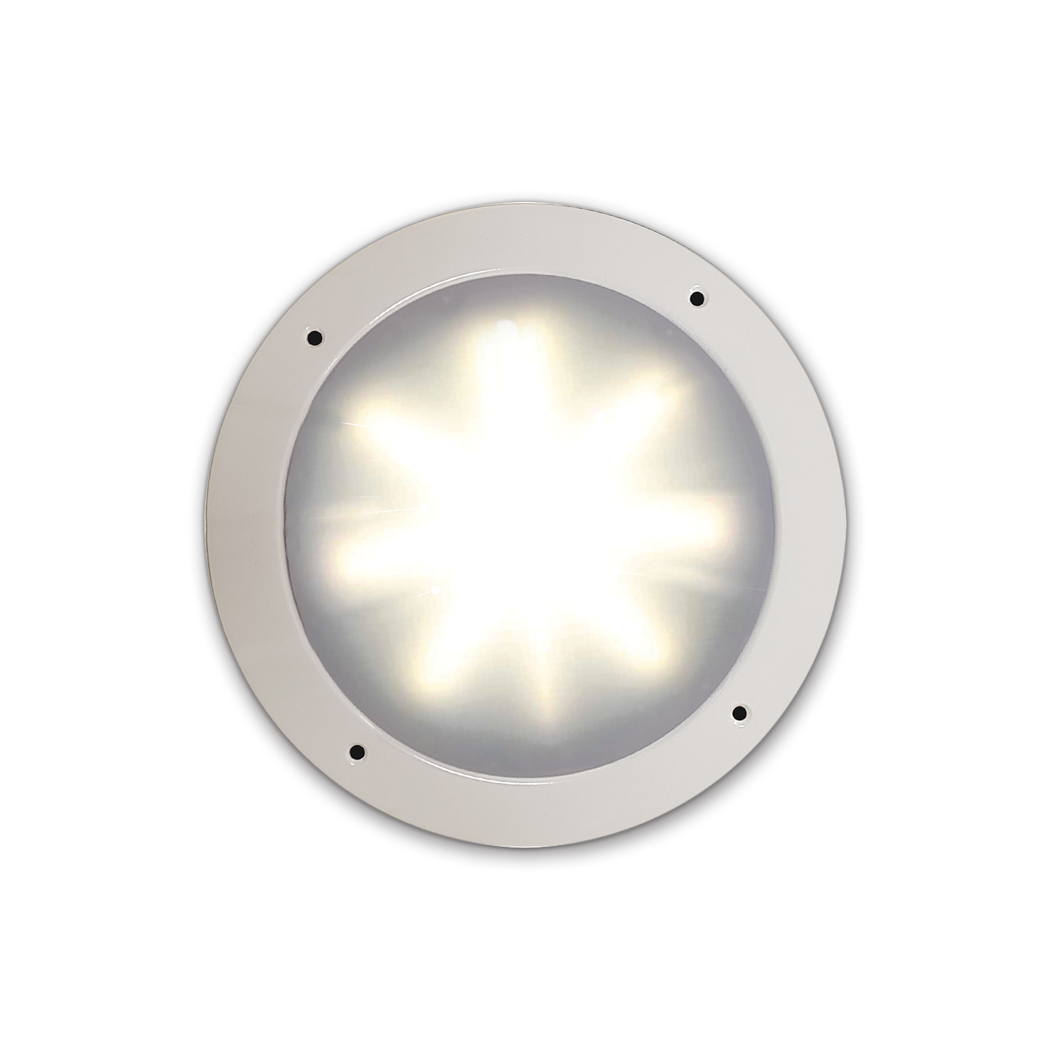 Patient Compartment Light