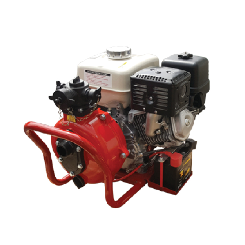 Portable pump